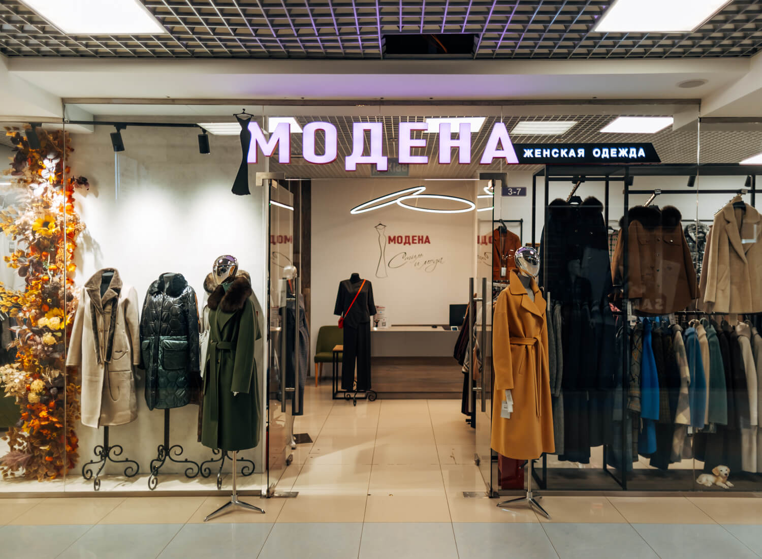 Фото входа в МОДЕНА